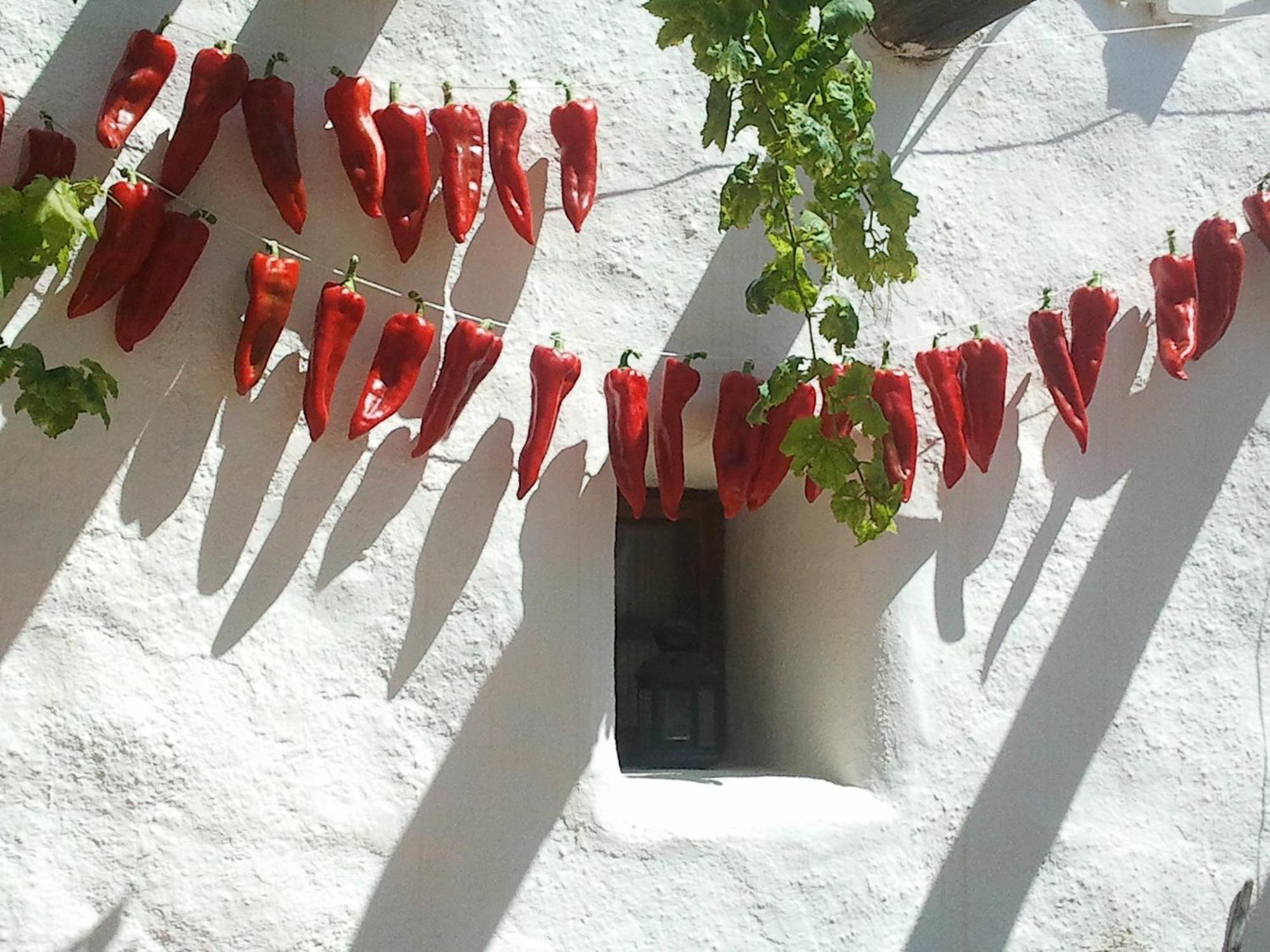 Hotel Rural Cortijo La Alberca Níjar 외부 사진