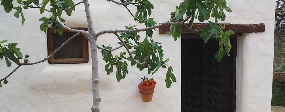 Hotel Rural Cortijo La Alberca Níjar 외부 사진