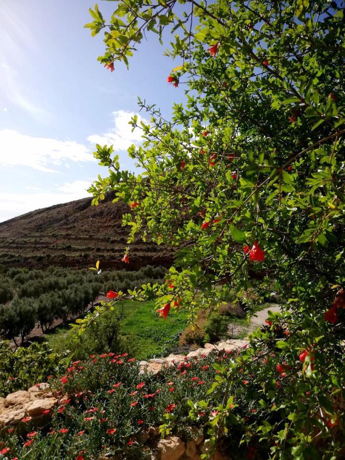 Hotel Rural Cortijo La Alberca Níjar 외부 사진