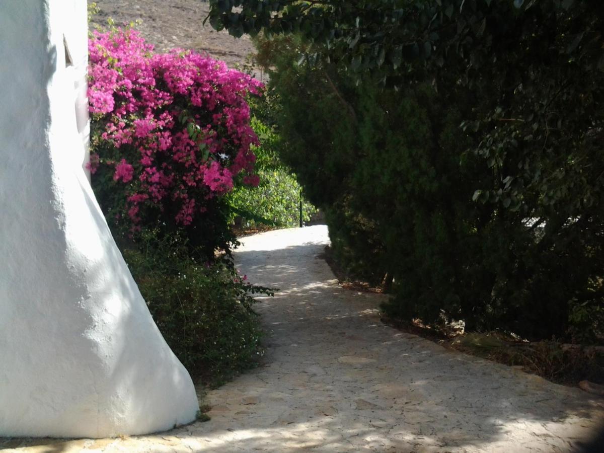 Hotel Rural Cortijo La Alberca Níjar 외부 사진